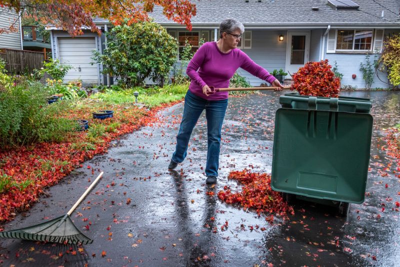 Gutter and Lawn Cleanup