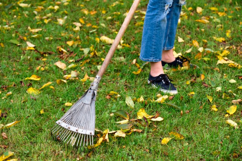 Raking and Gathering Leaves