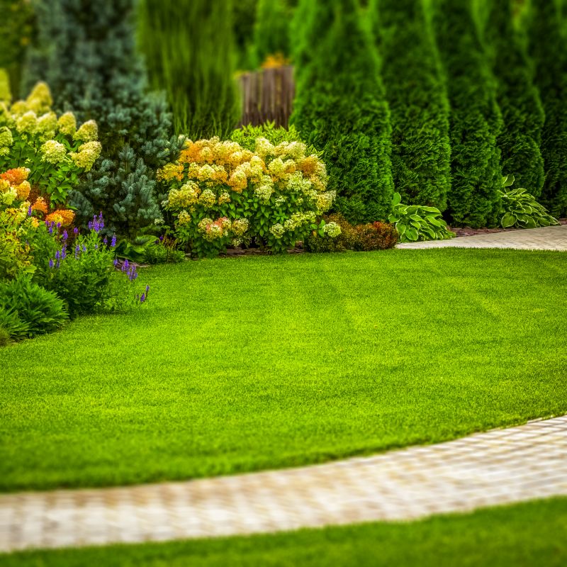Green Landscaping